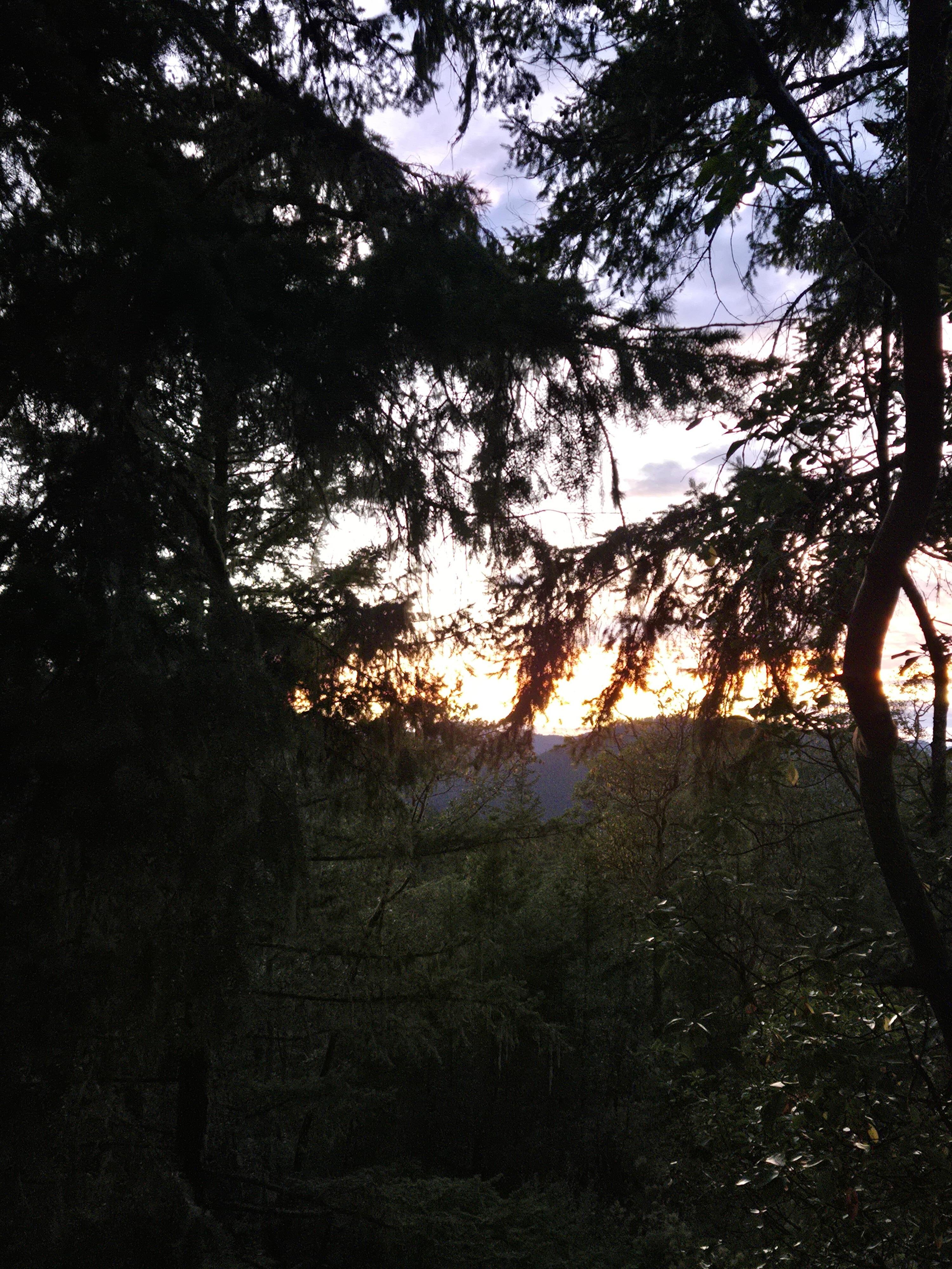 View from the patio at sunset