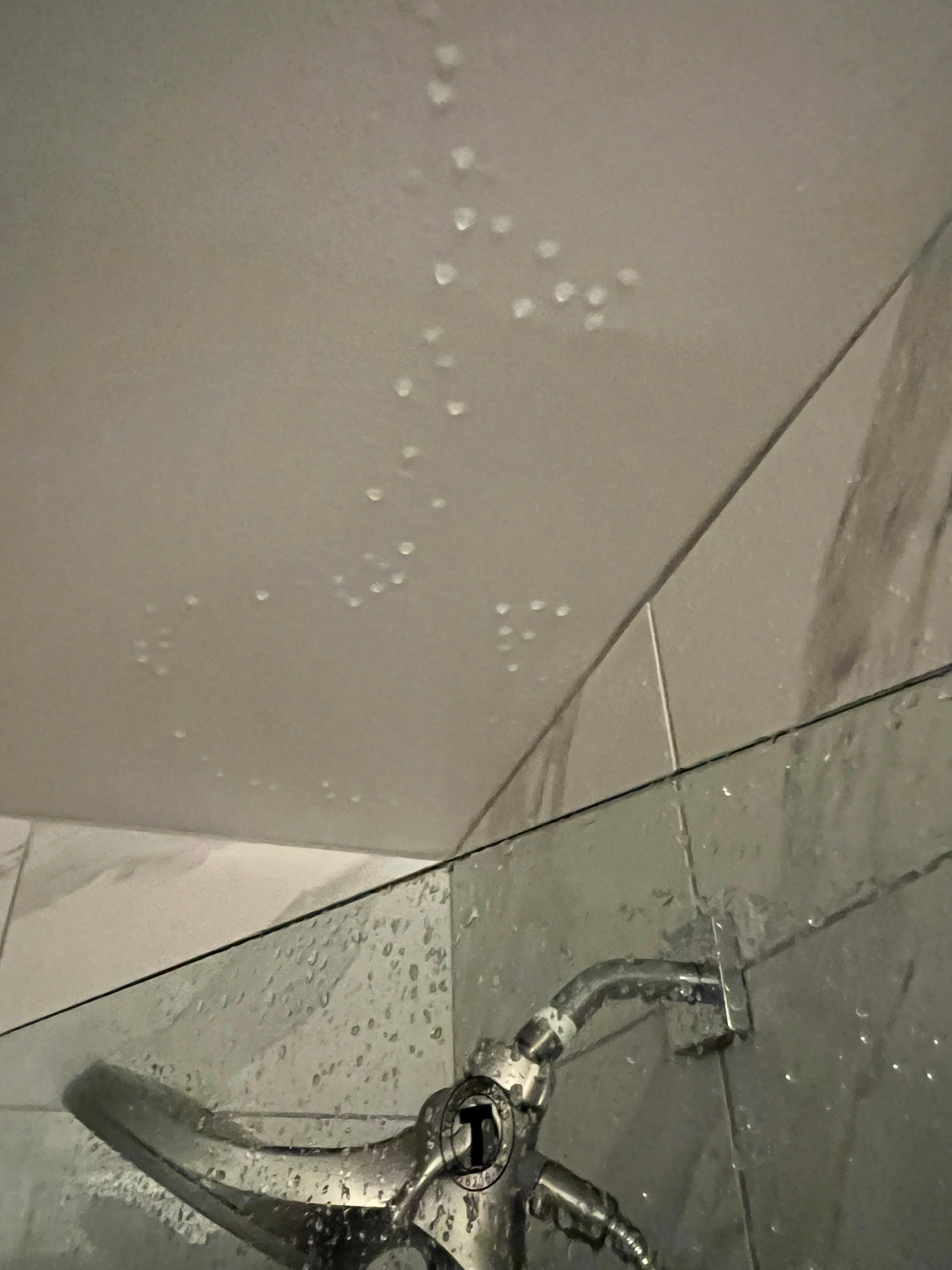 Water on the ceiling from the leak 