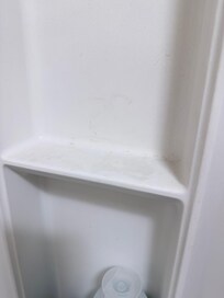 Shelves in shower filthy