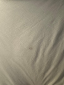 Sus on sheets