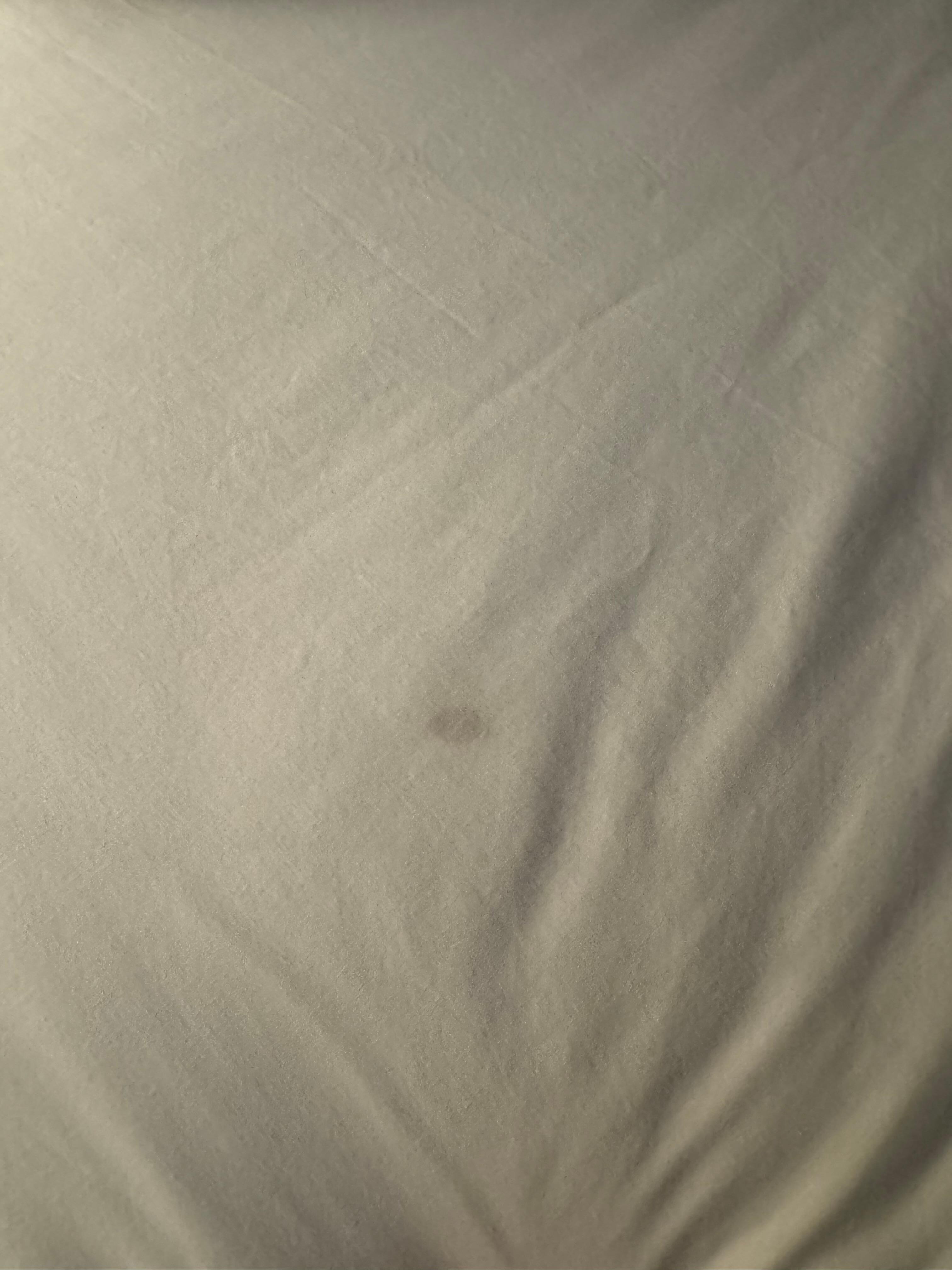 Sus on sheets