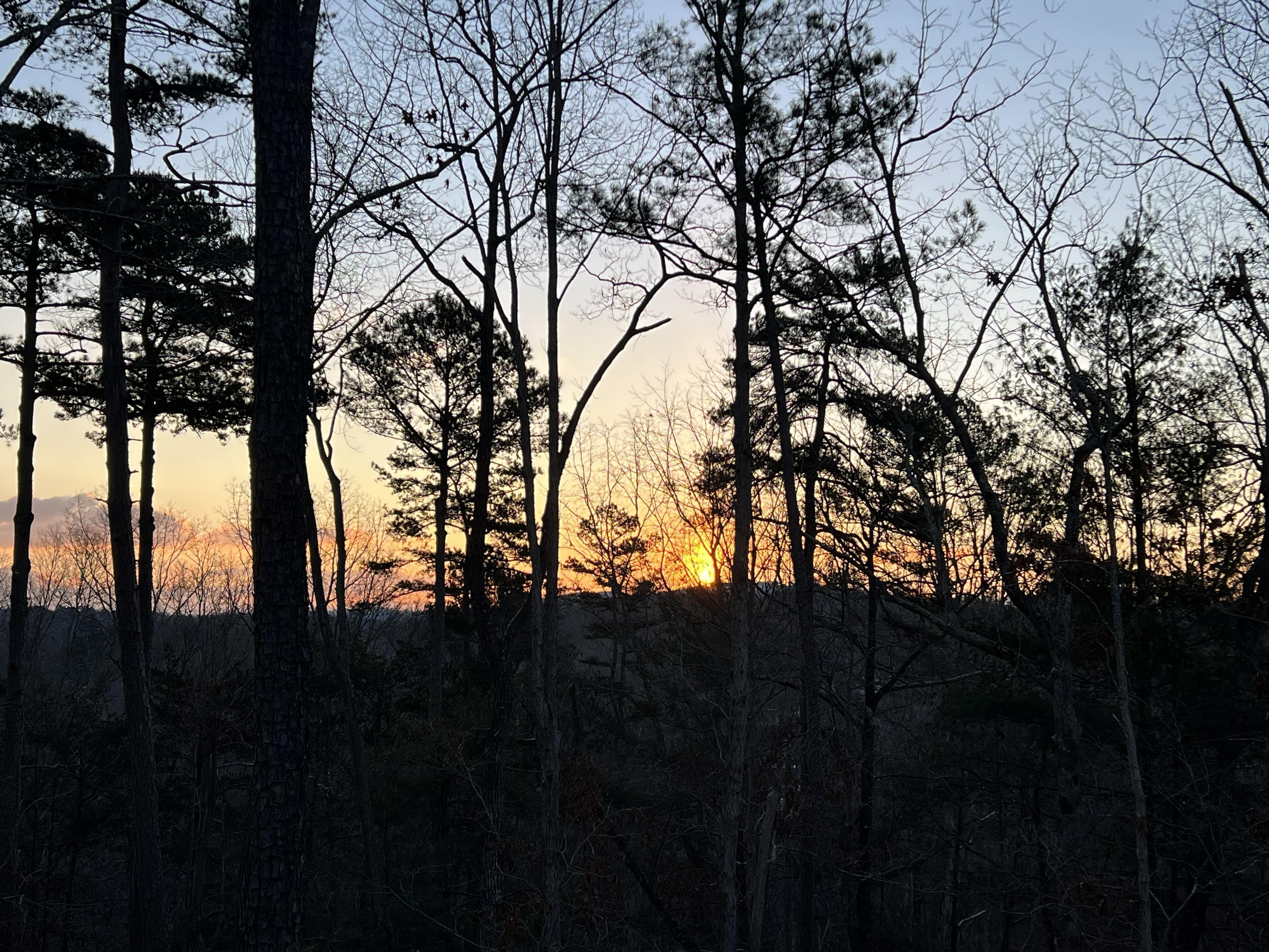 Sunrise from the back porch.