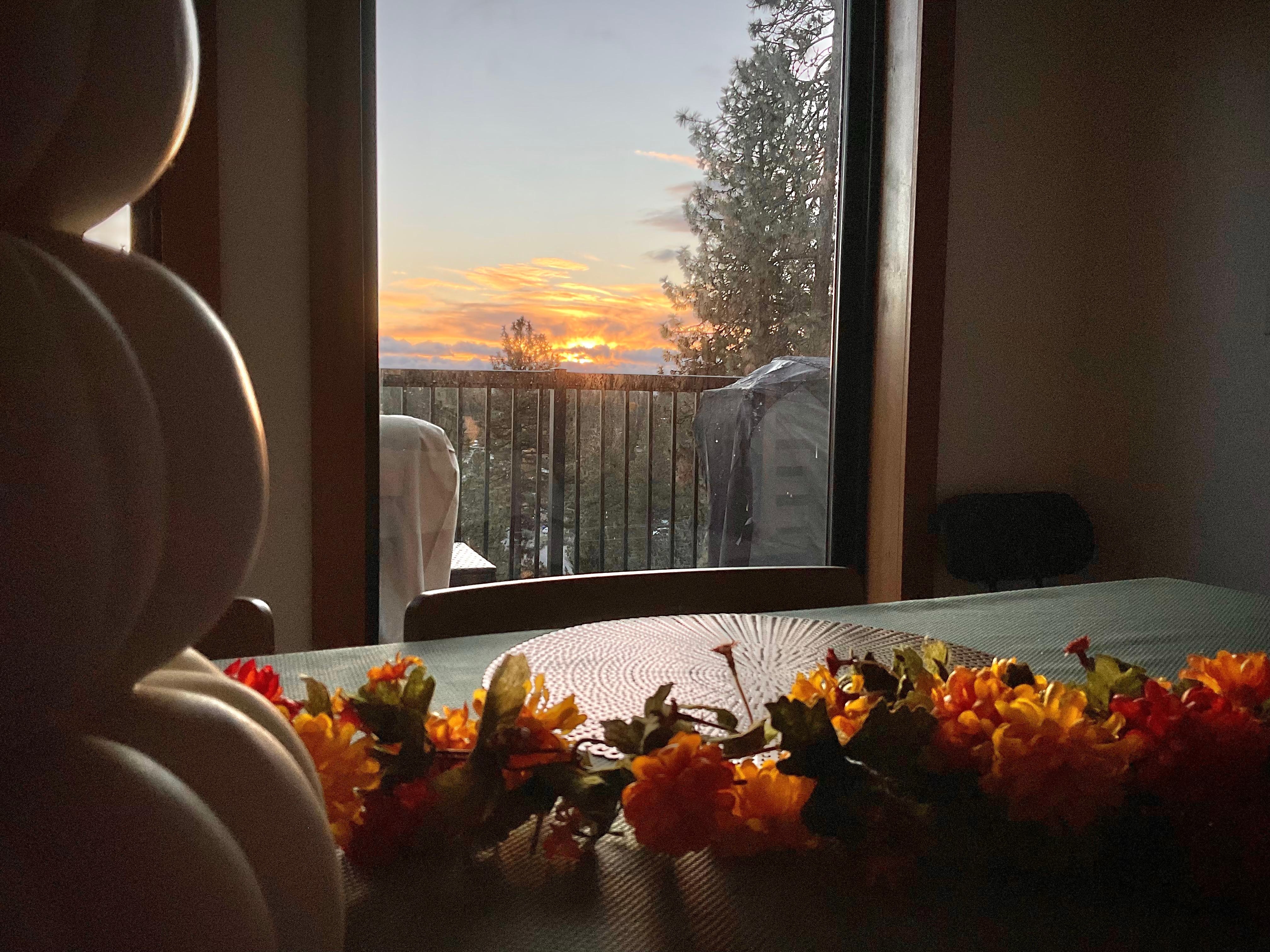 View from dining table