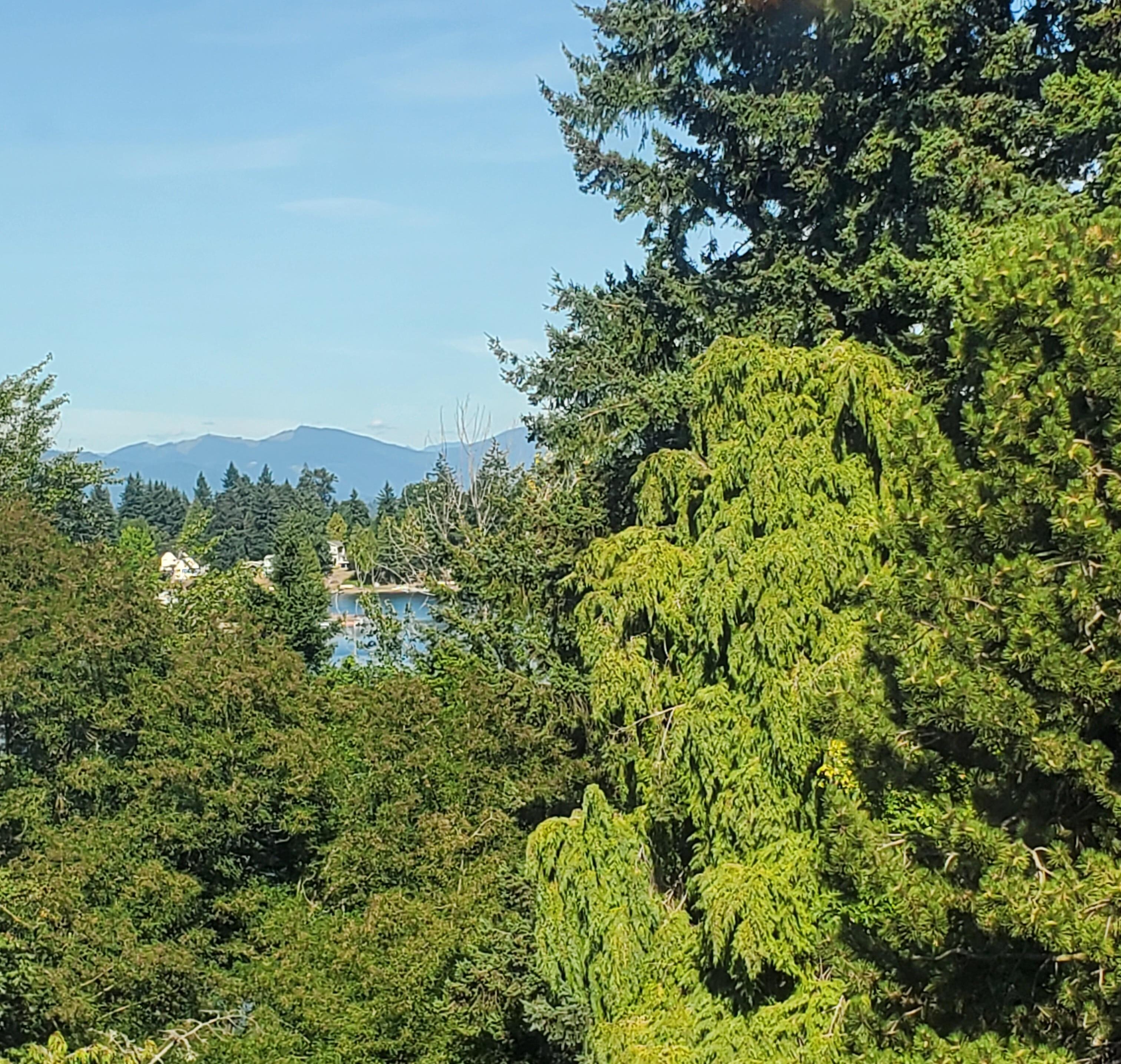 Angle Lake