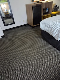 Urine stained carpet from pets.