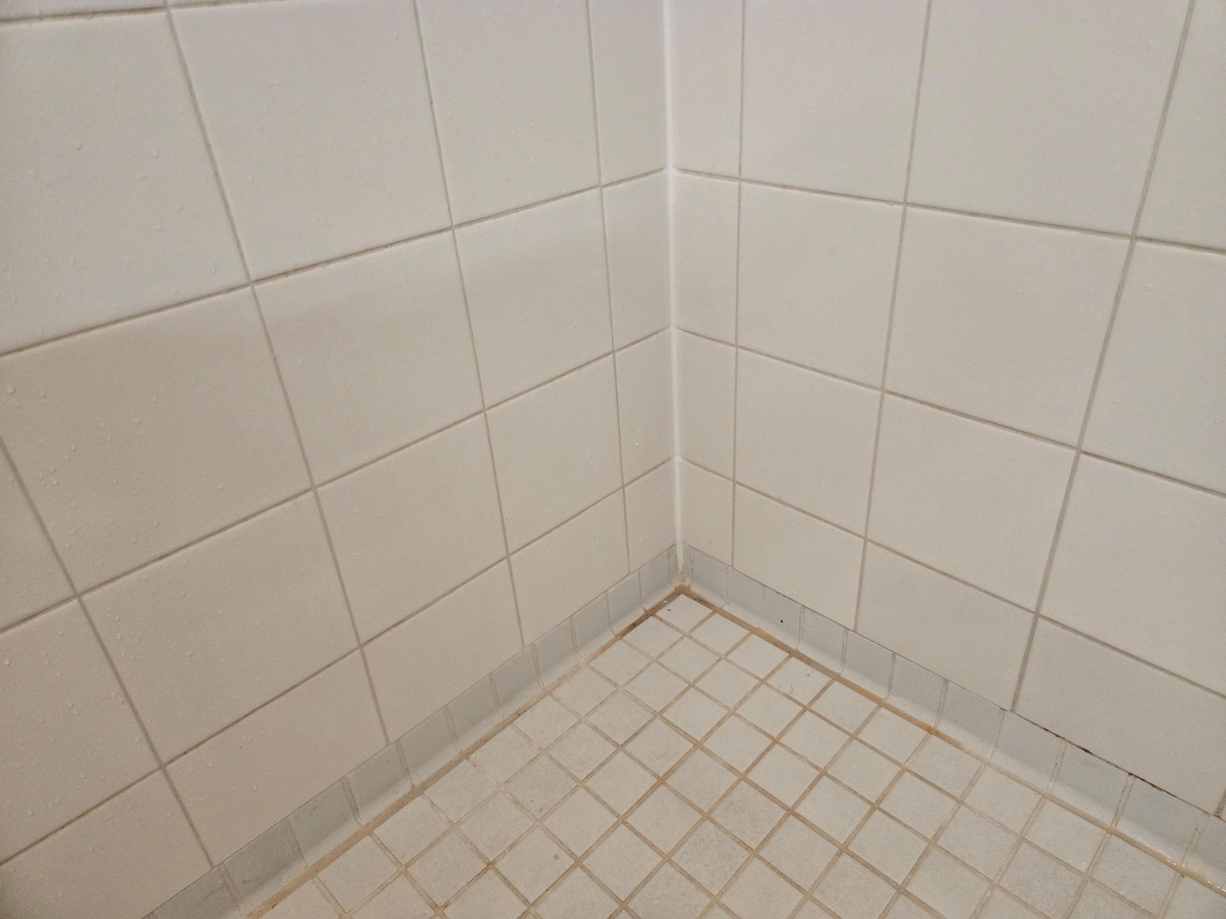 Cerne plancher douchr