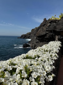 Beautiful landscaping!