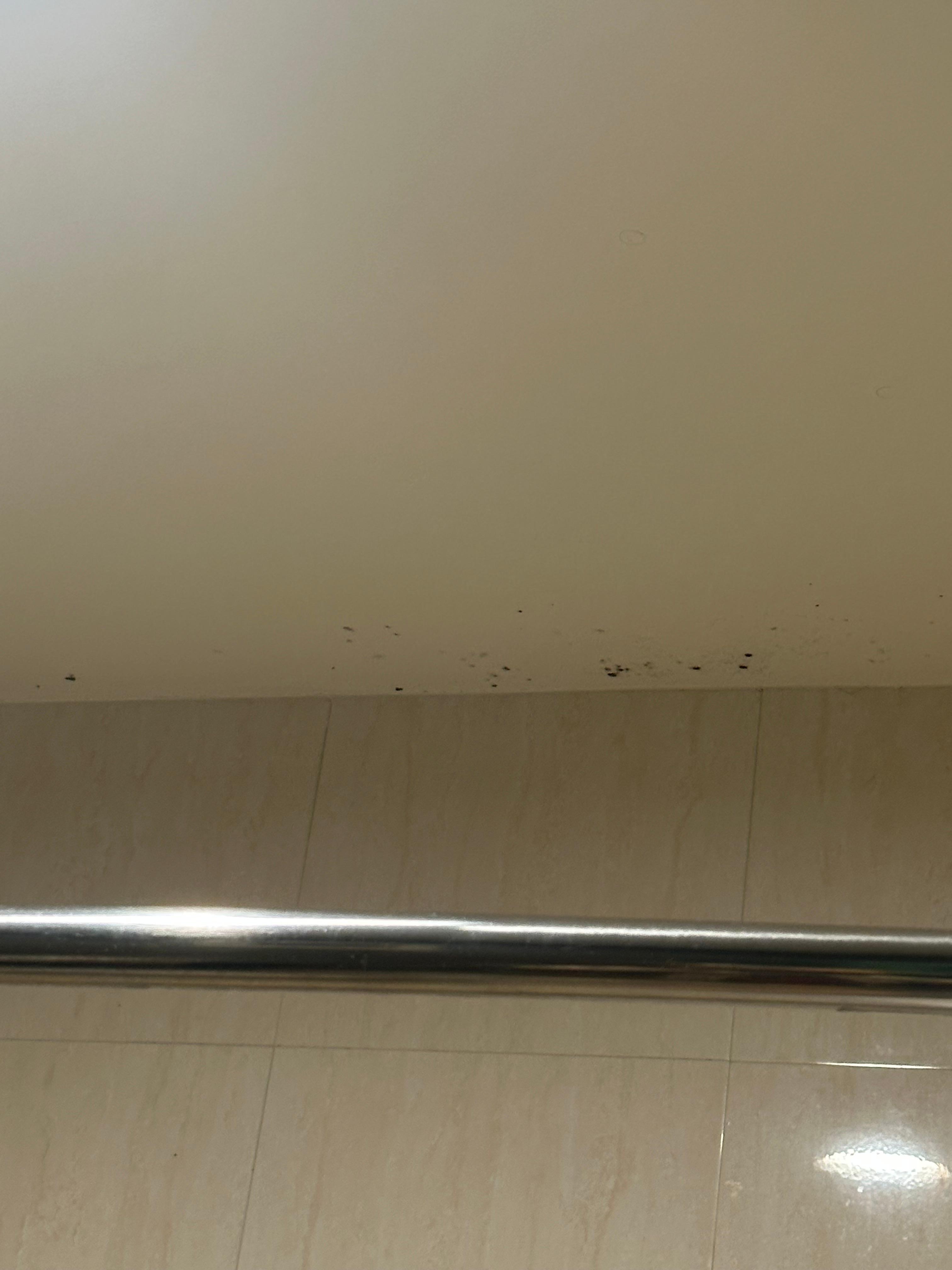Mold in the bathroom ceiling 