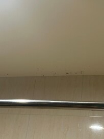 Mold in the bathroom ceiling