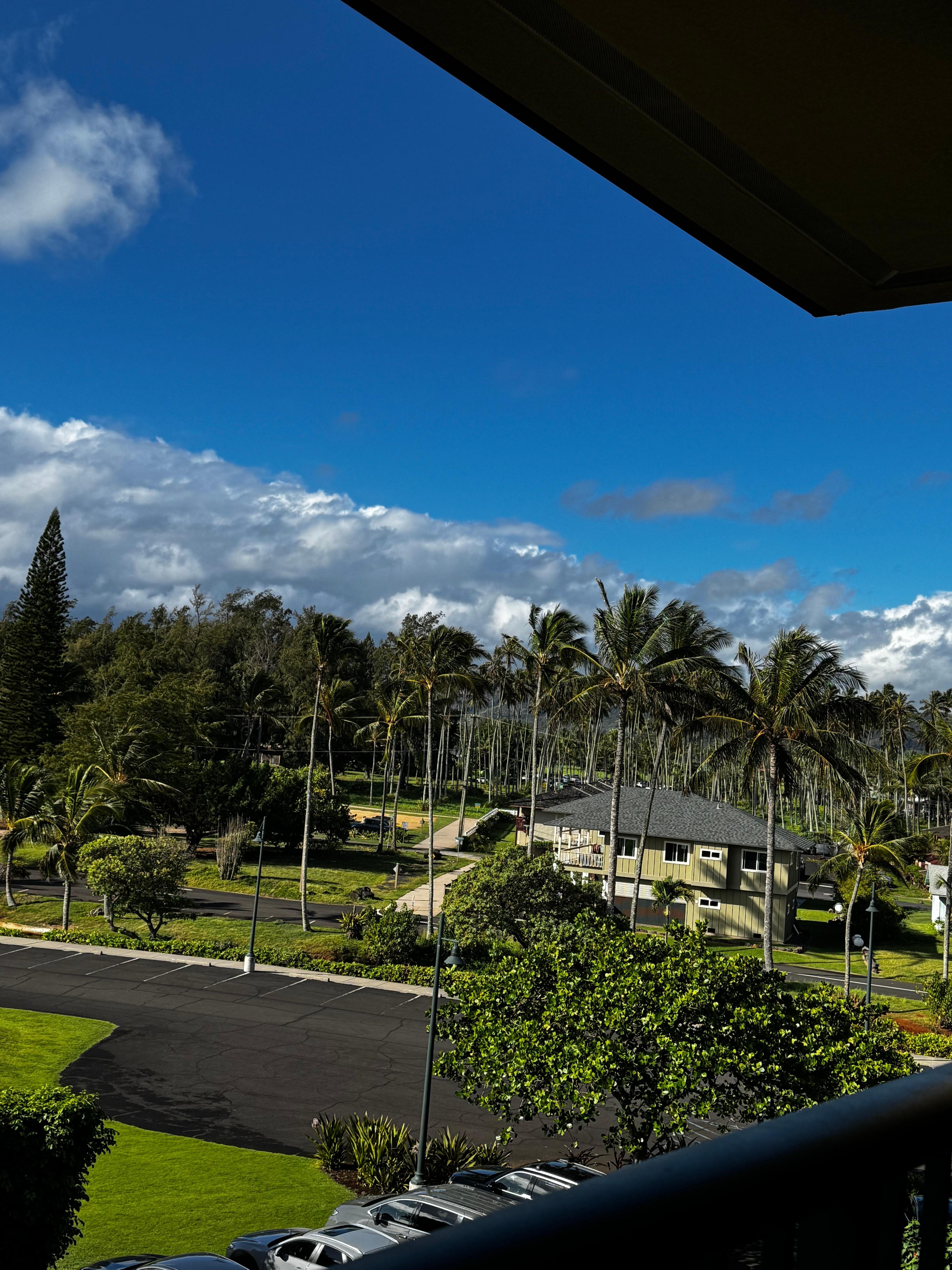 View from lanai