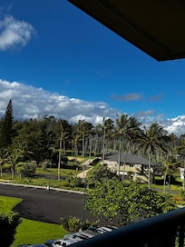 View from lanai