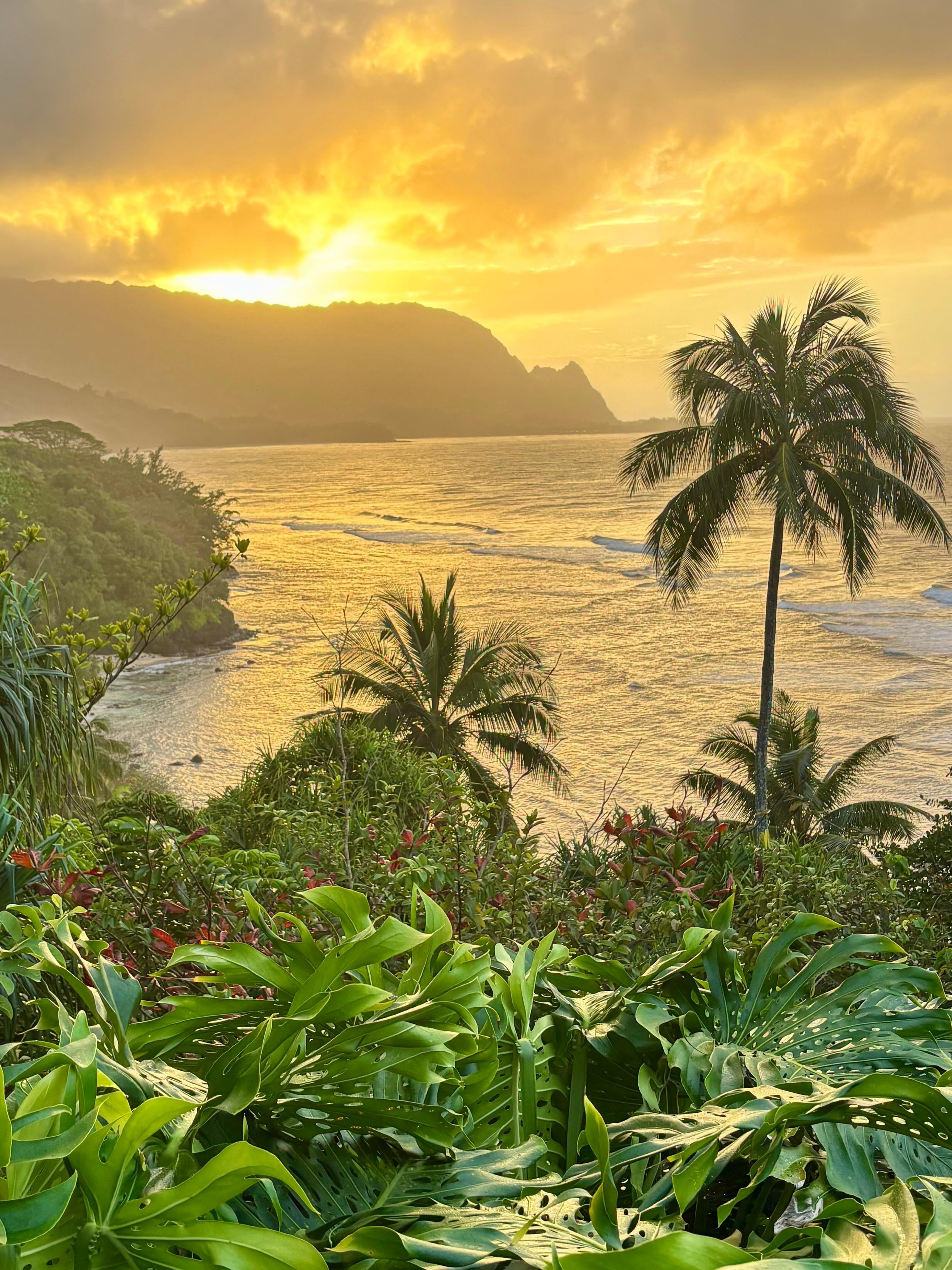 This is the view from the condo. The sun sets behind the mountain in February. Stunning!