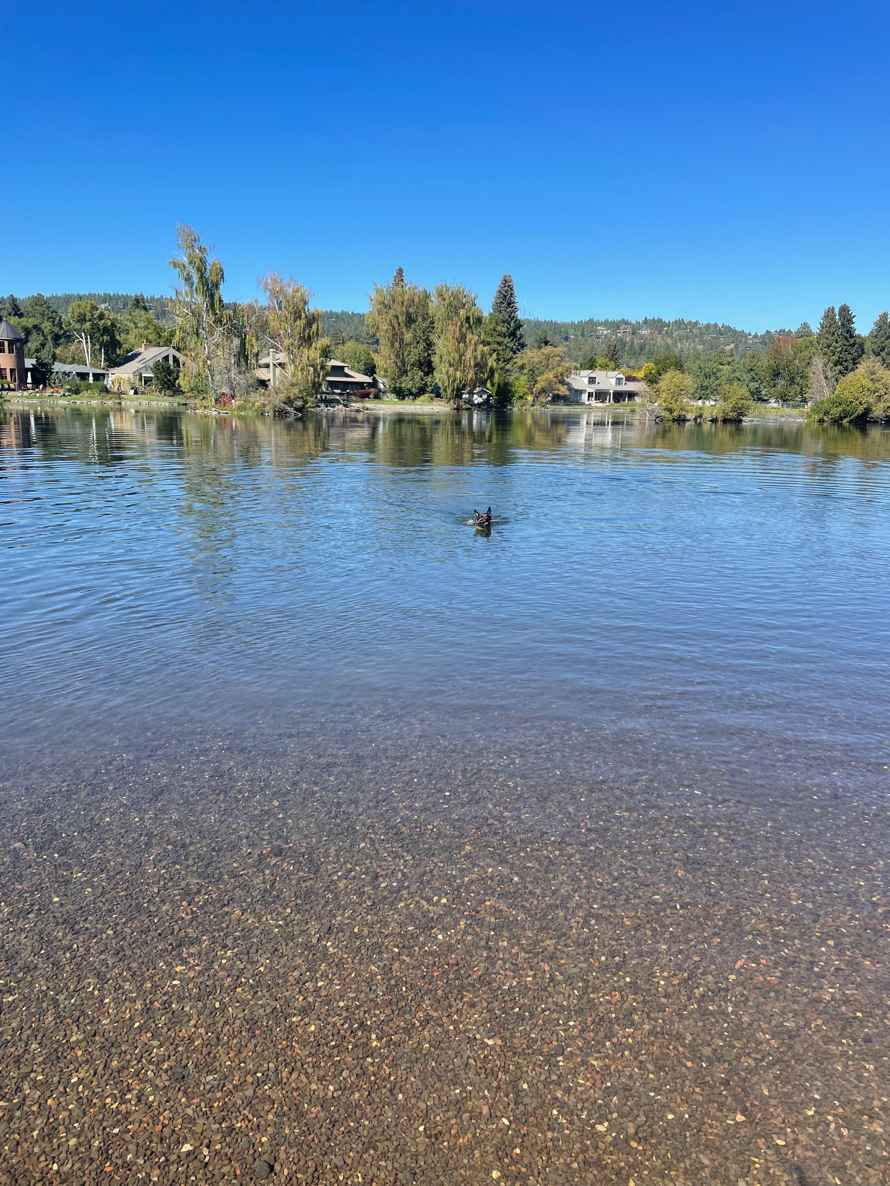 View of the river from Drake’s
