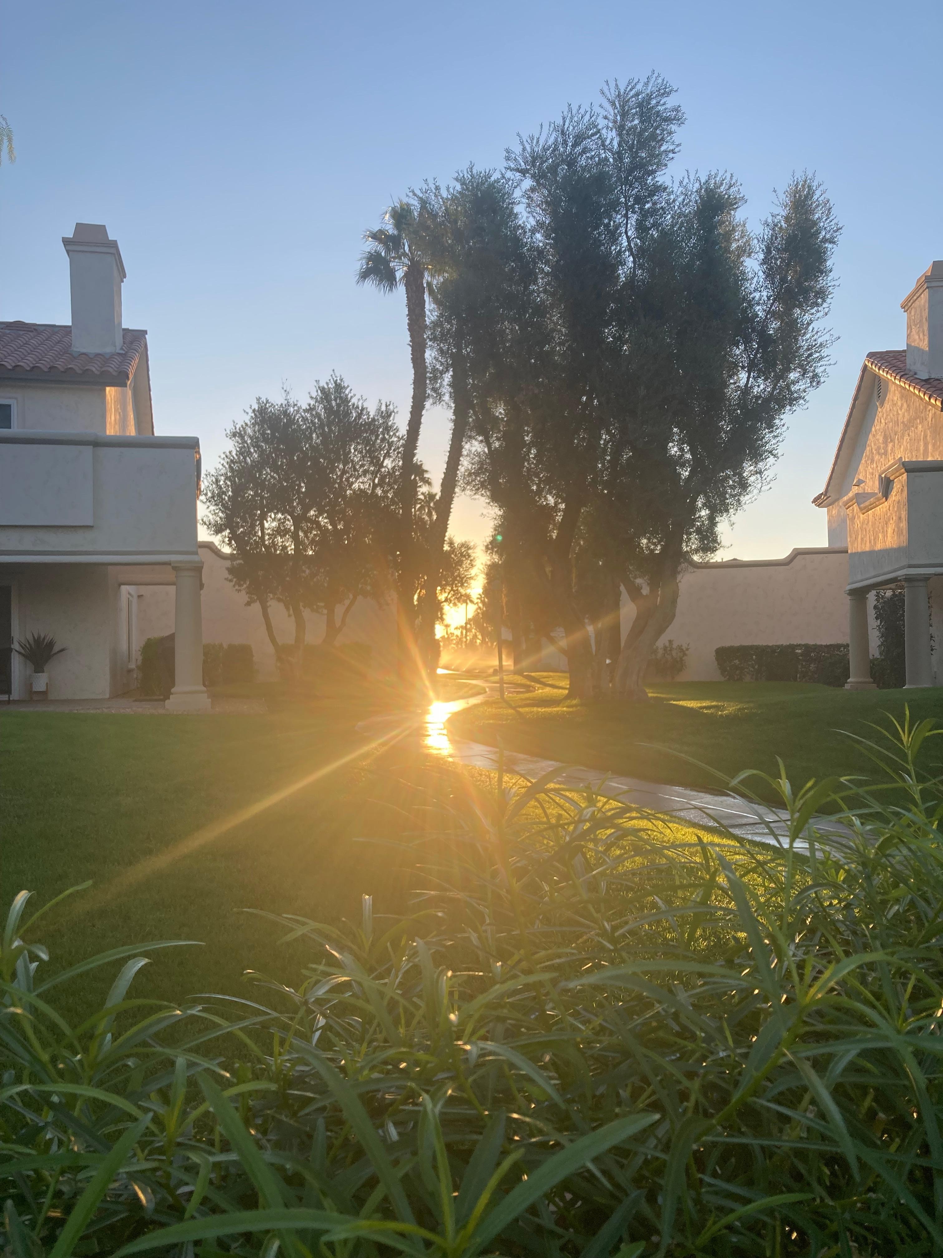 Golden desert sunrise from the back patio