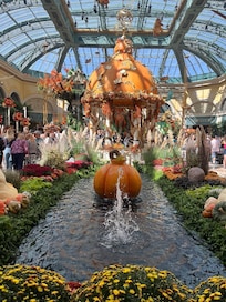 The Bellagio Autumn display