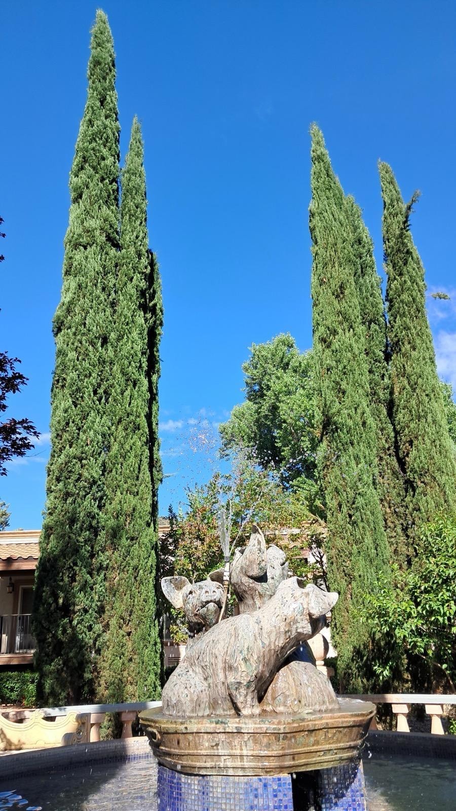 Parks in the resort