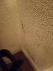 Mold