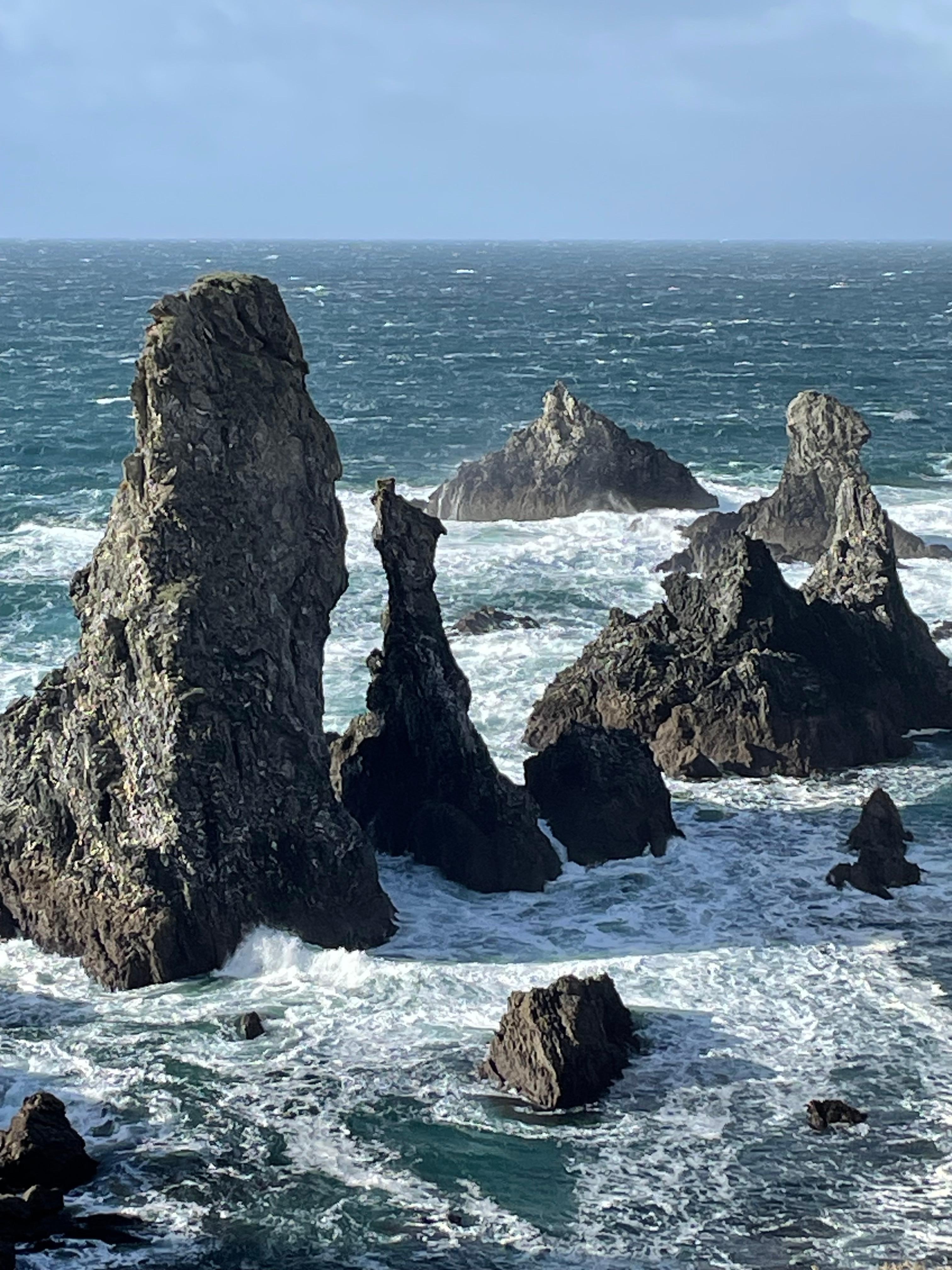 Les aiguilles de port coton