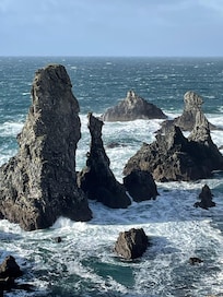 Les aiguilles de port coton