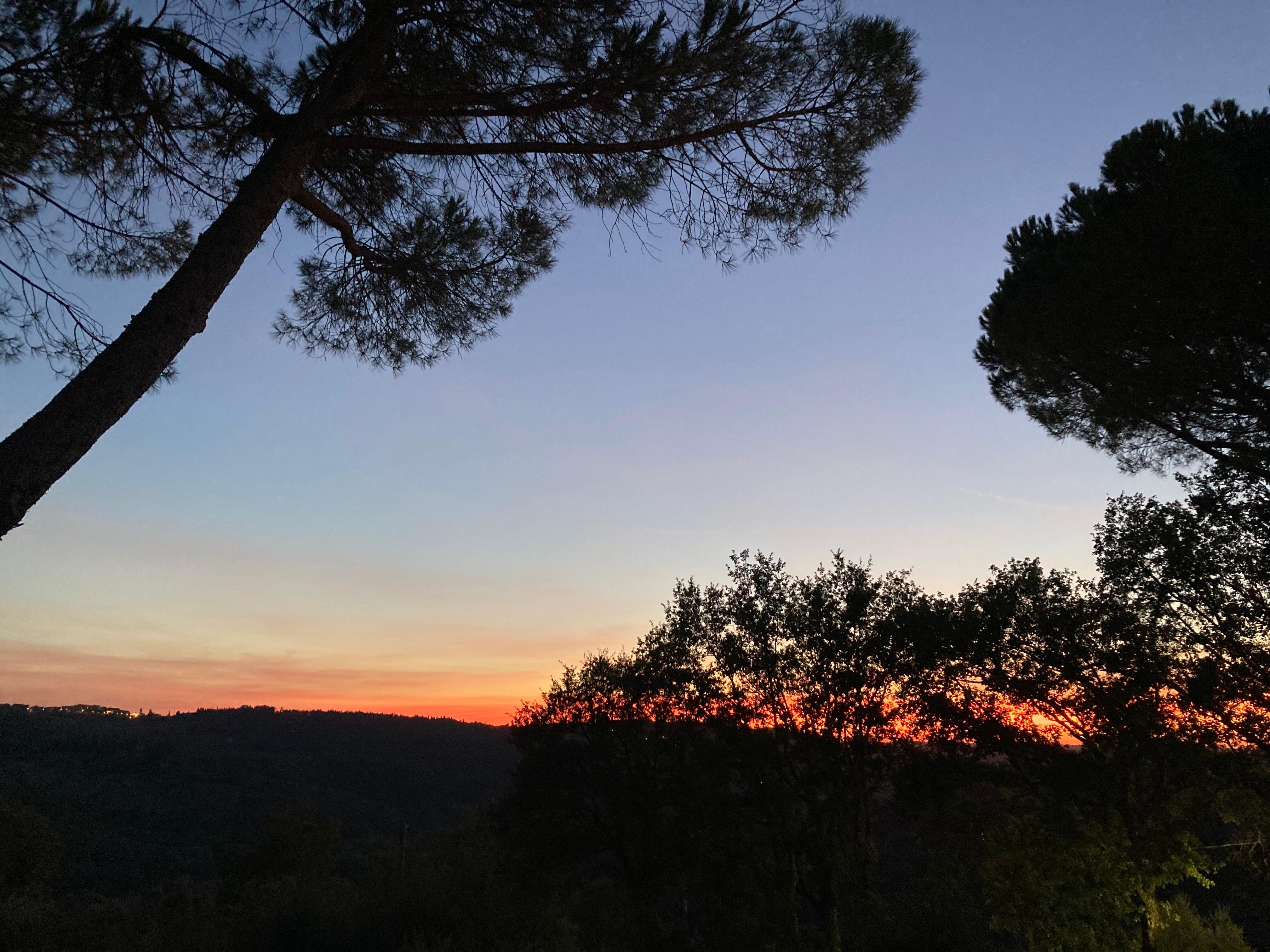 Sunset from the patio