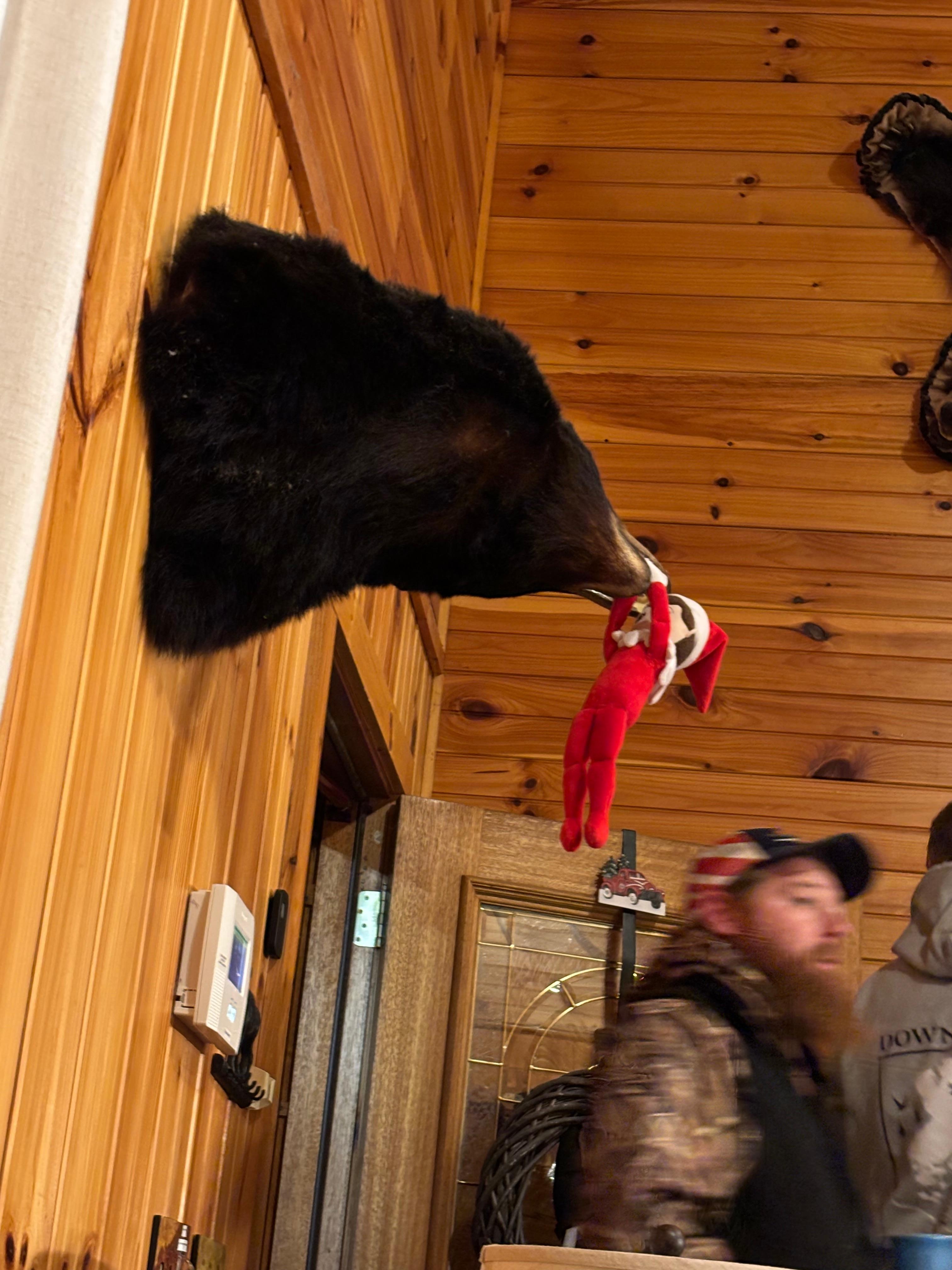 Accept this little elf!