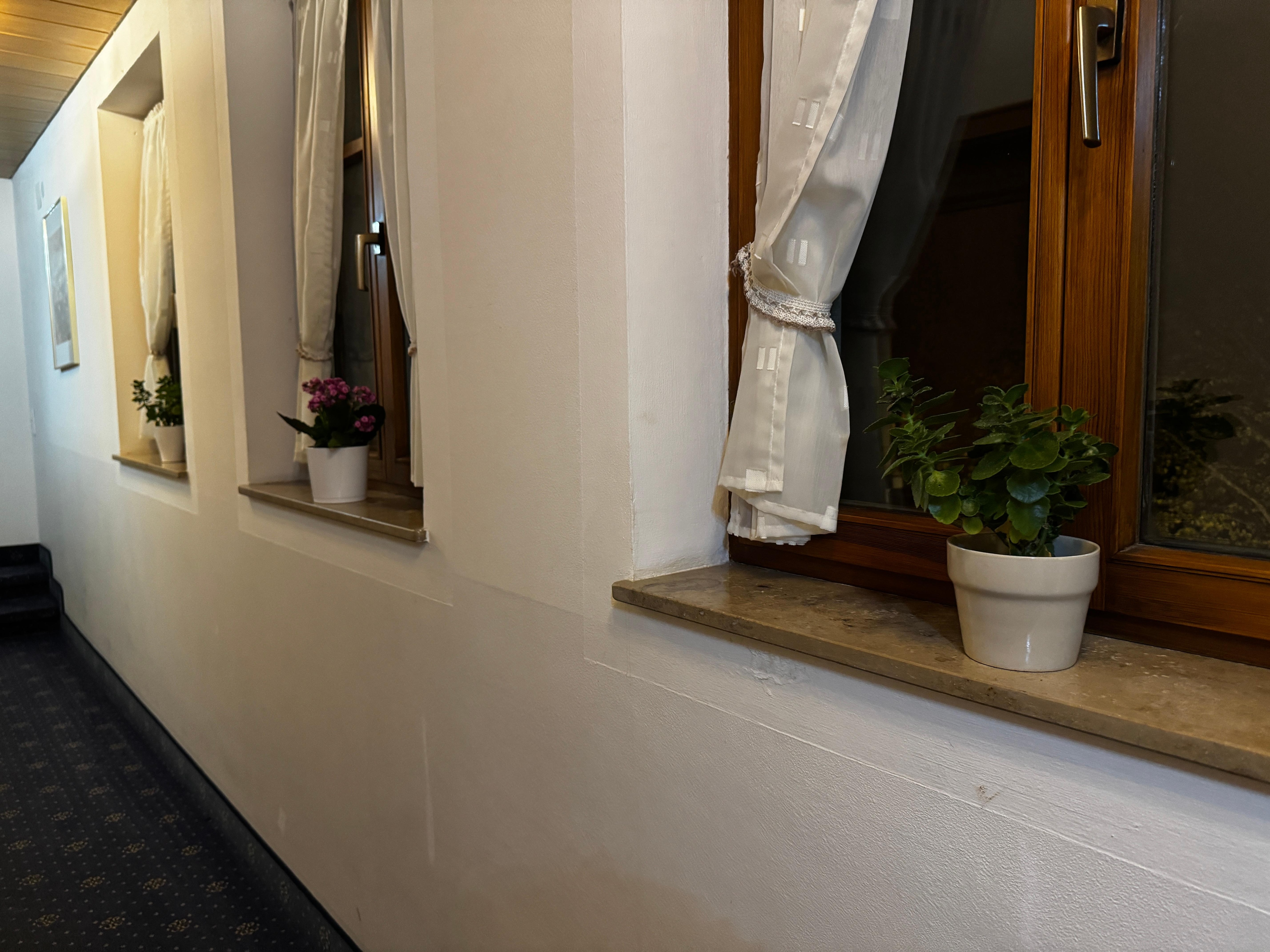 Hallway with great flowers