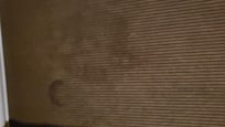 More stains