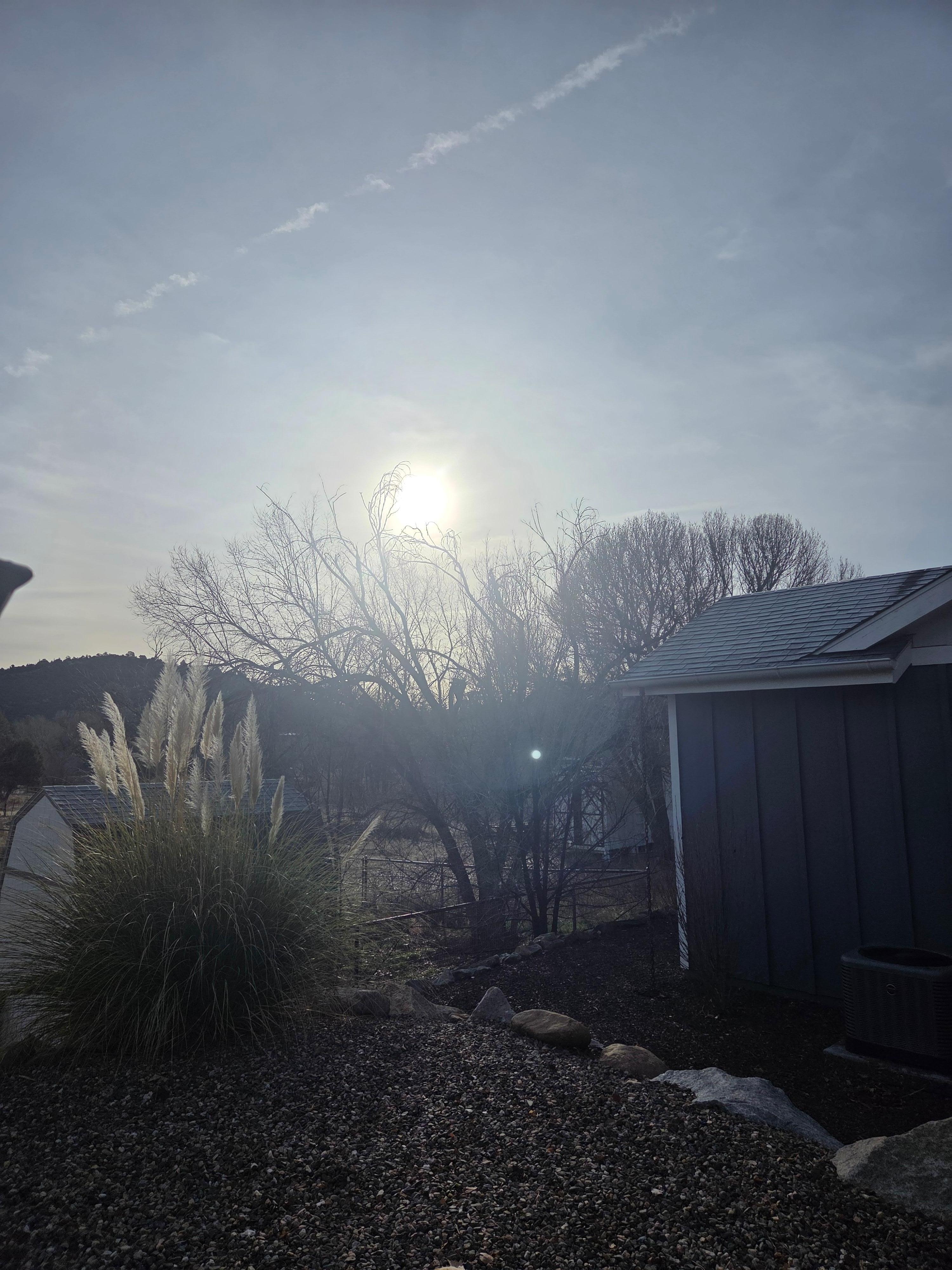 Backyard sunrise 🌅 