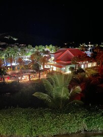 Night life!