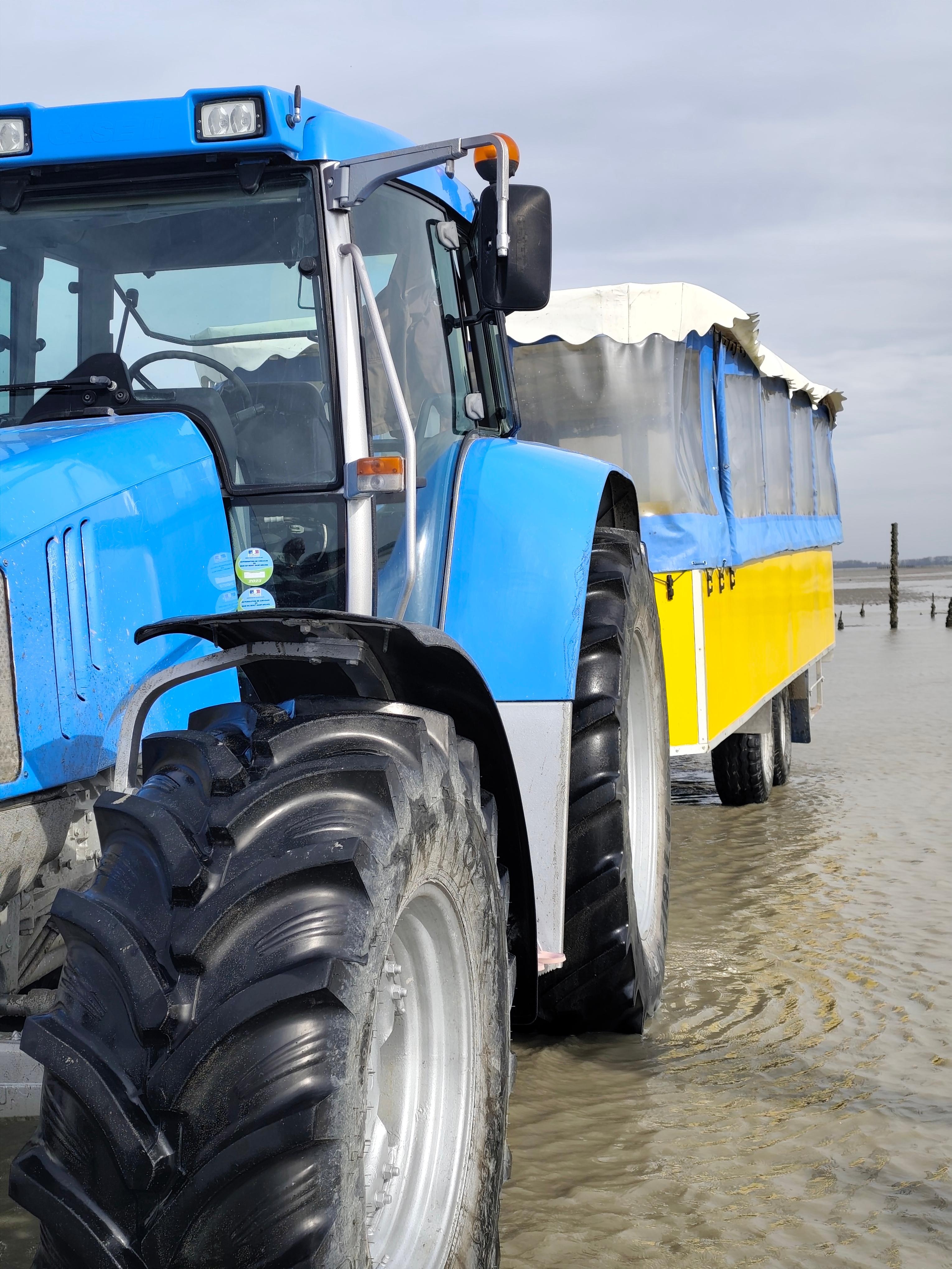 Le train marin cherrueix avec Annabelle 