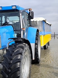 Le train marin cherrueix avec Annabelle