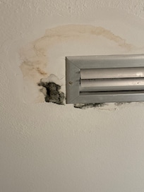 Mold