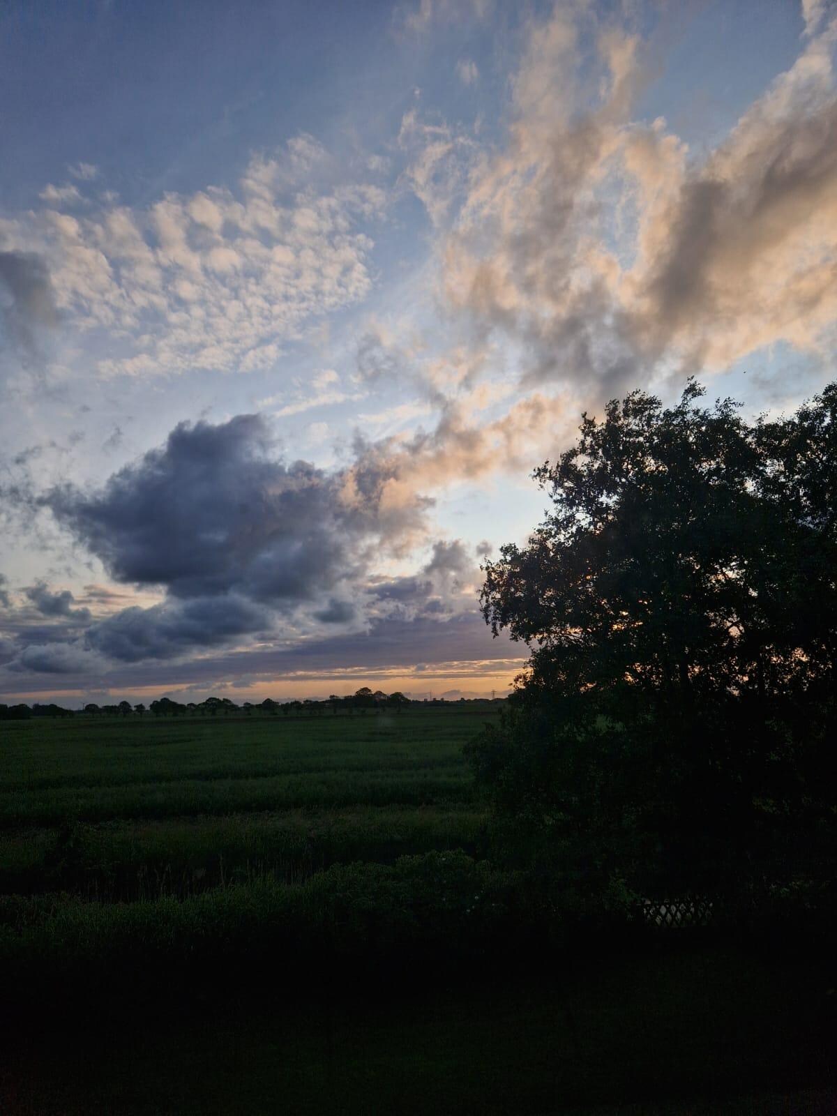 Ein Blick aus dem Fenster.