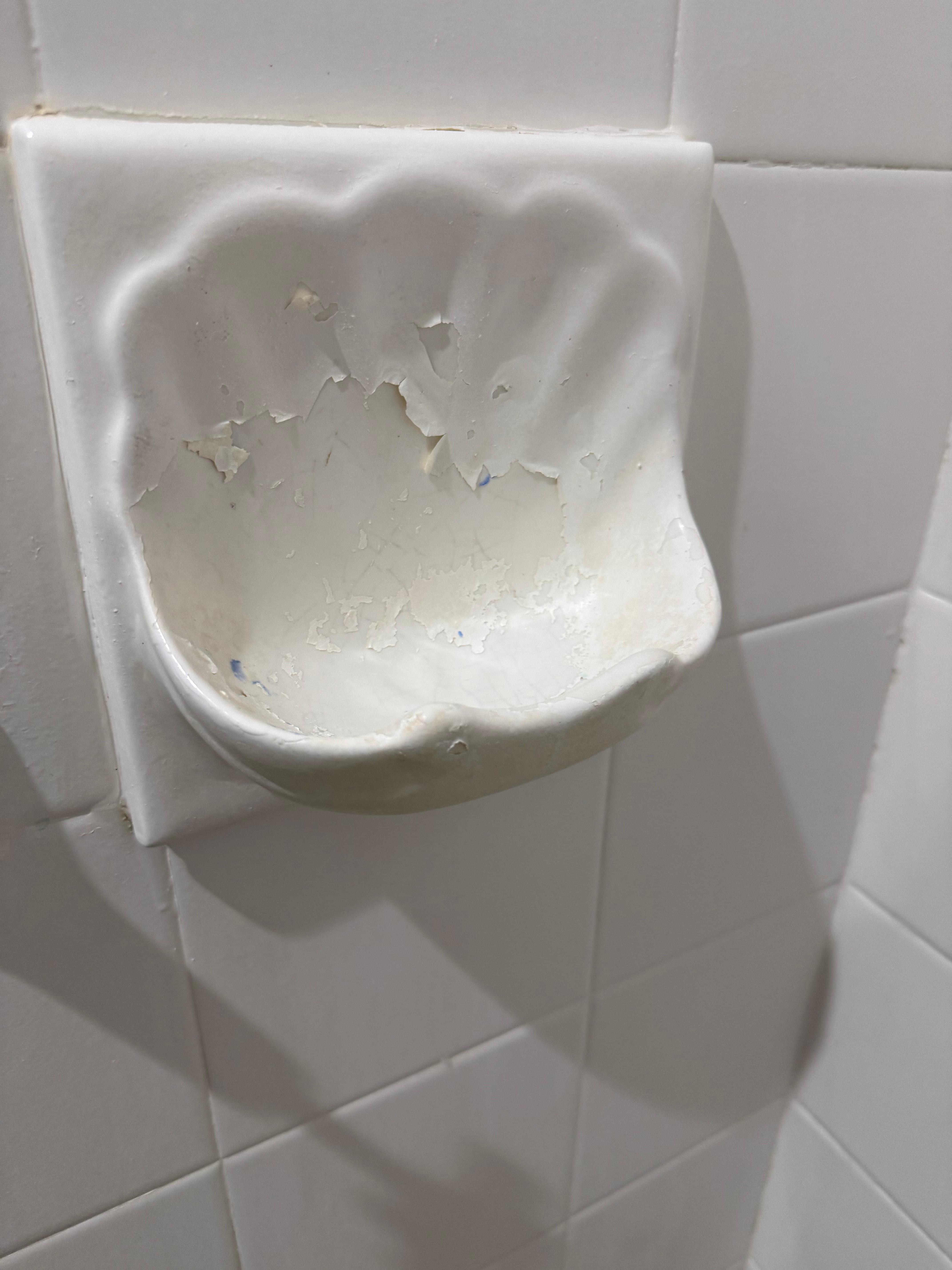 Shower soap holder peeling. Looks shabby 