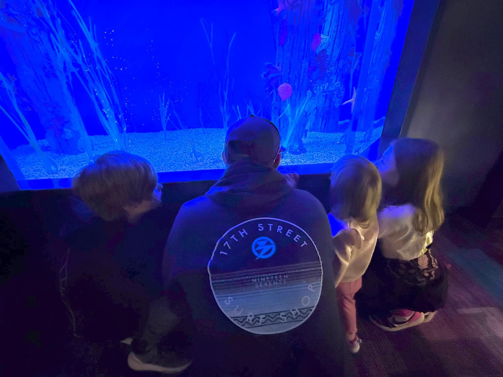 The Ripley's Aquarium is a must do with the family