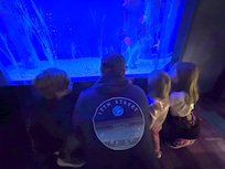 The Ripley's Aquarium is a must do with the family