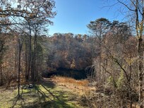 The view of the lake, granted its Nov.