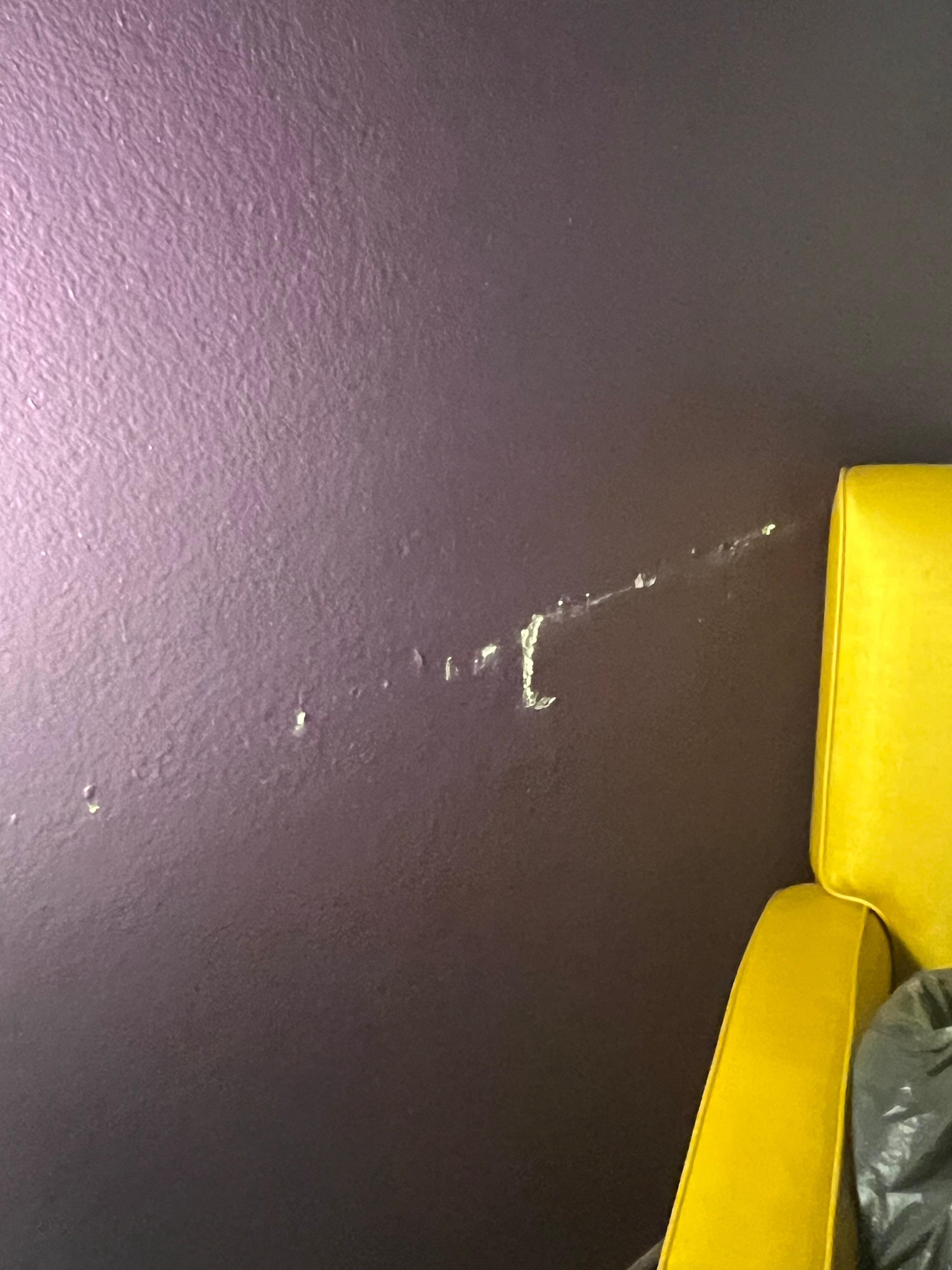 Damage to paint on wall