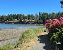 View from the trail during our walk