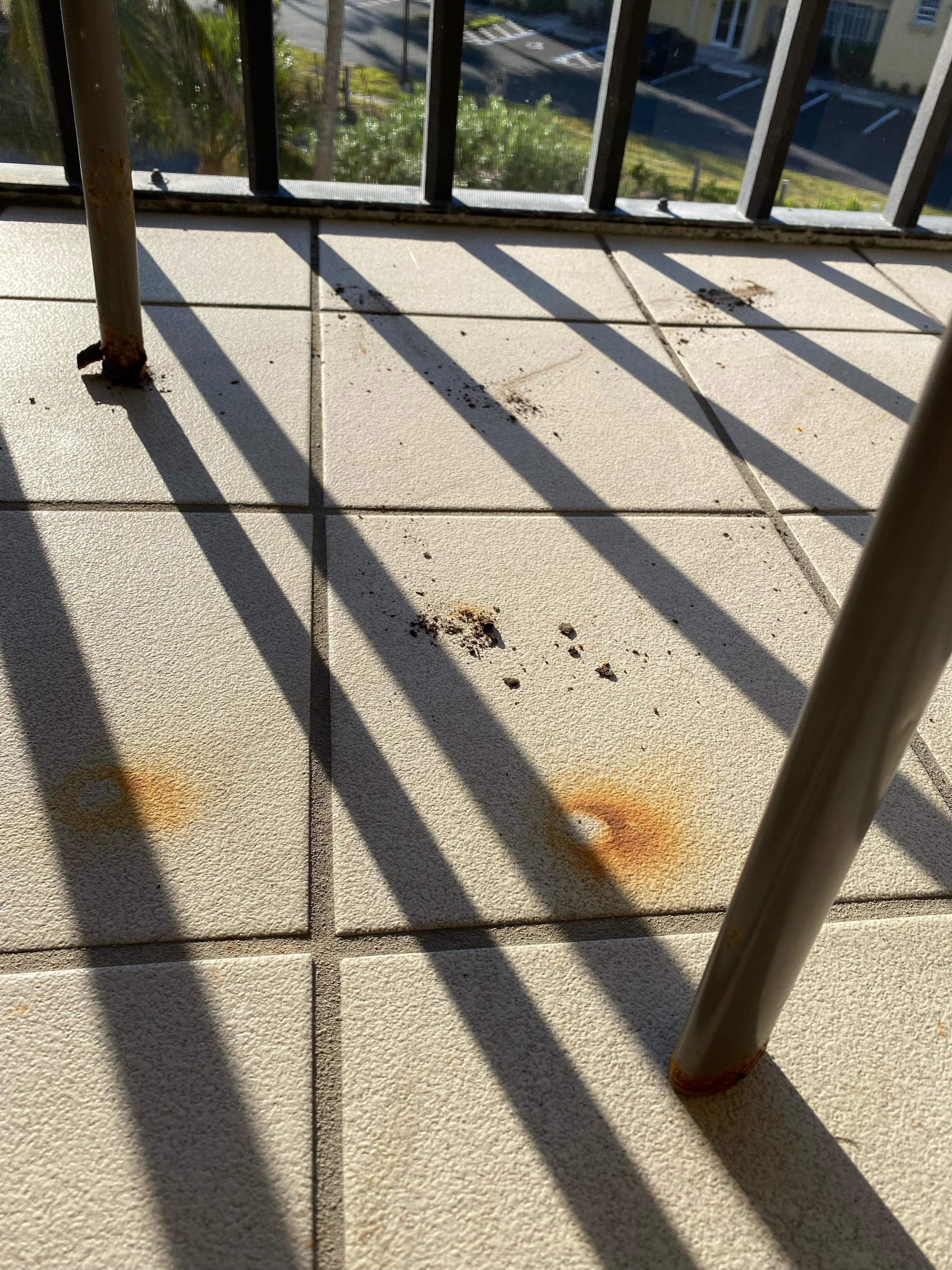 The laina floor had several places with dirt.