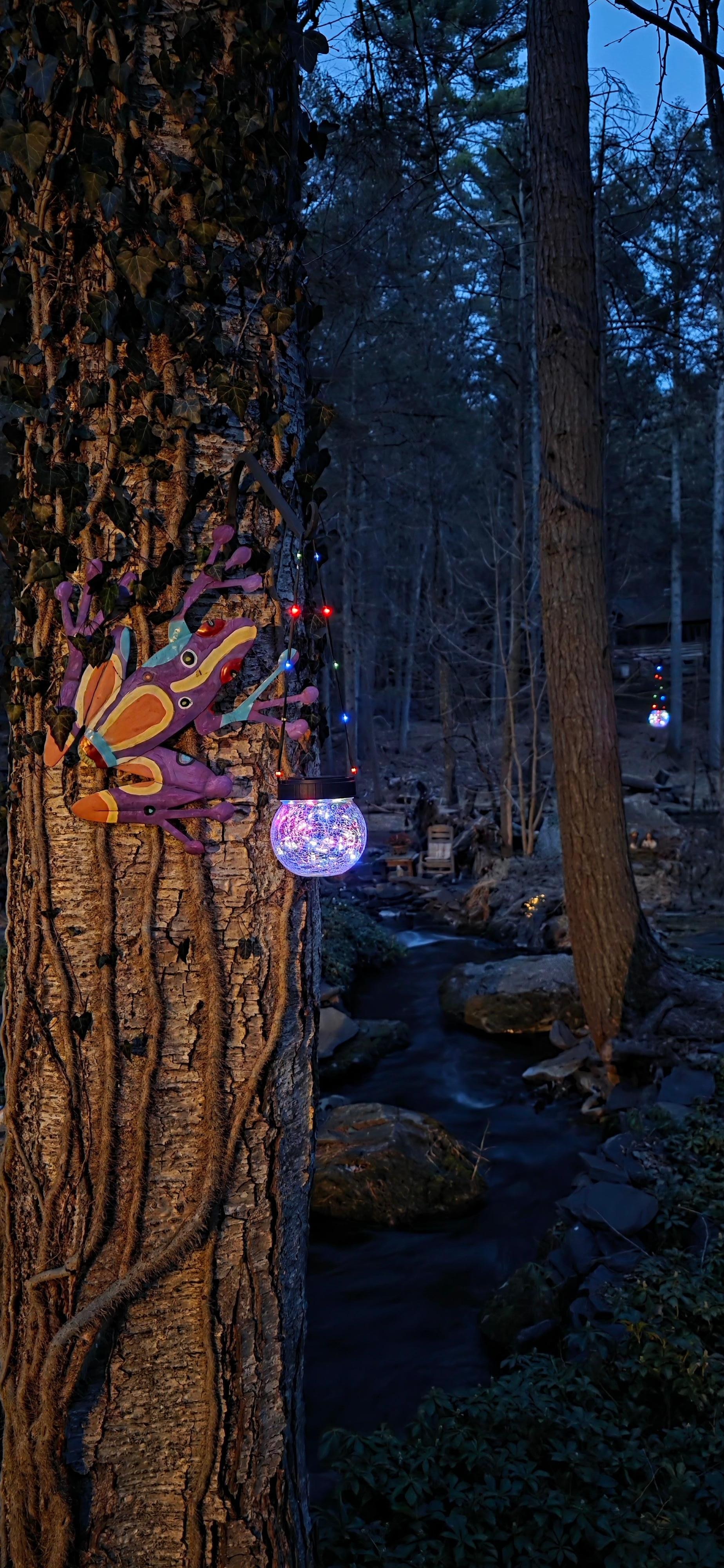 When the sun goes down, the outdoor solar lights come on! So pretty.