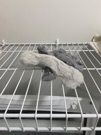 Dryer lint left behind