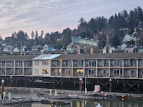 View of hillside from my patio.