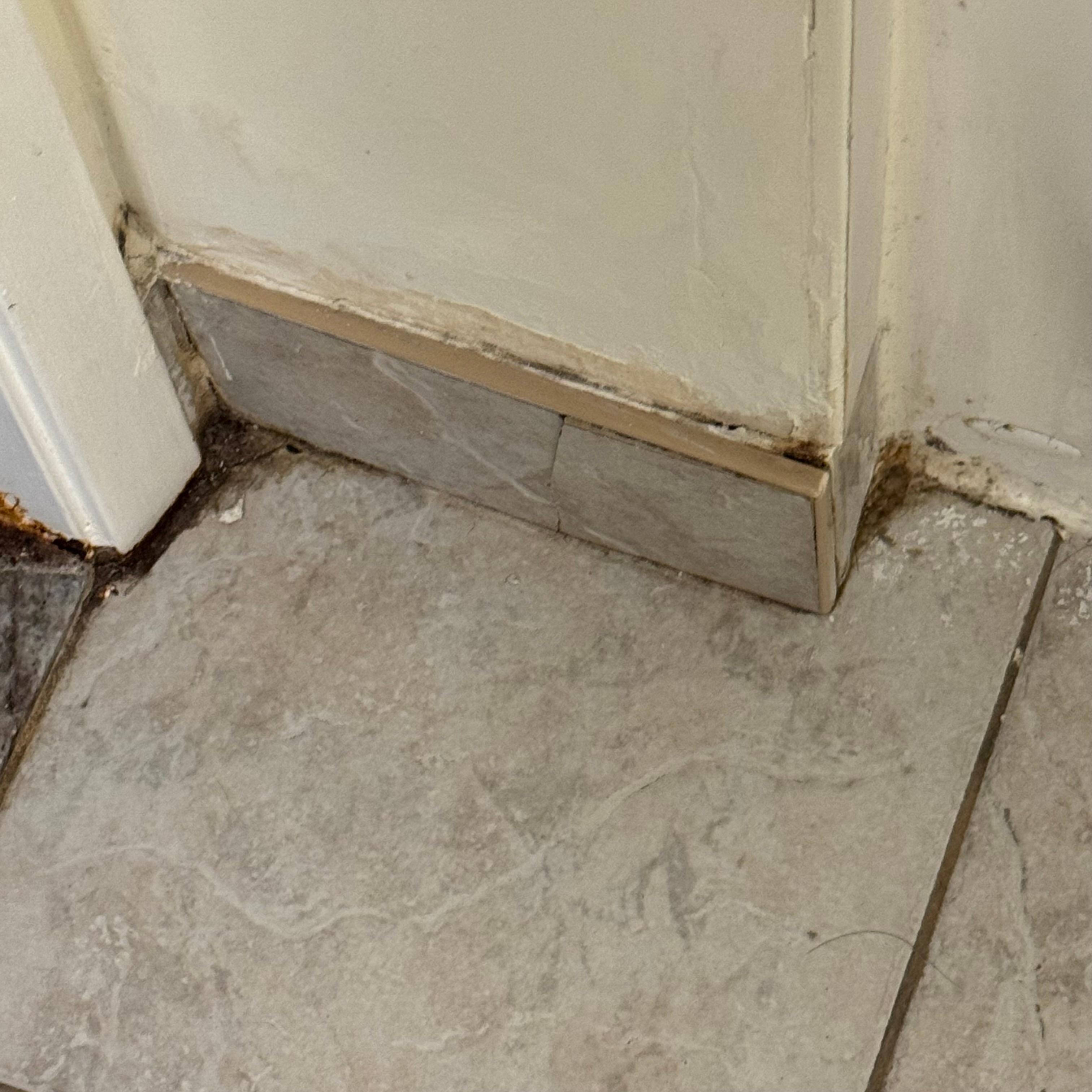 Disrepair in bathroom 