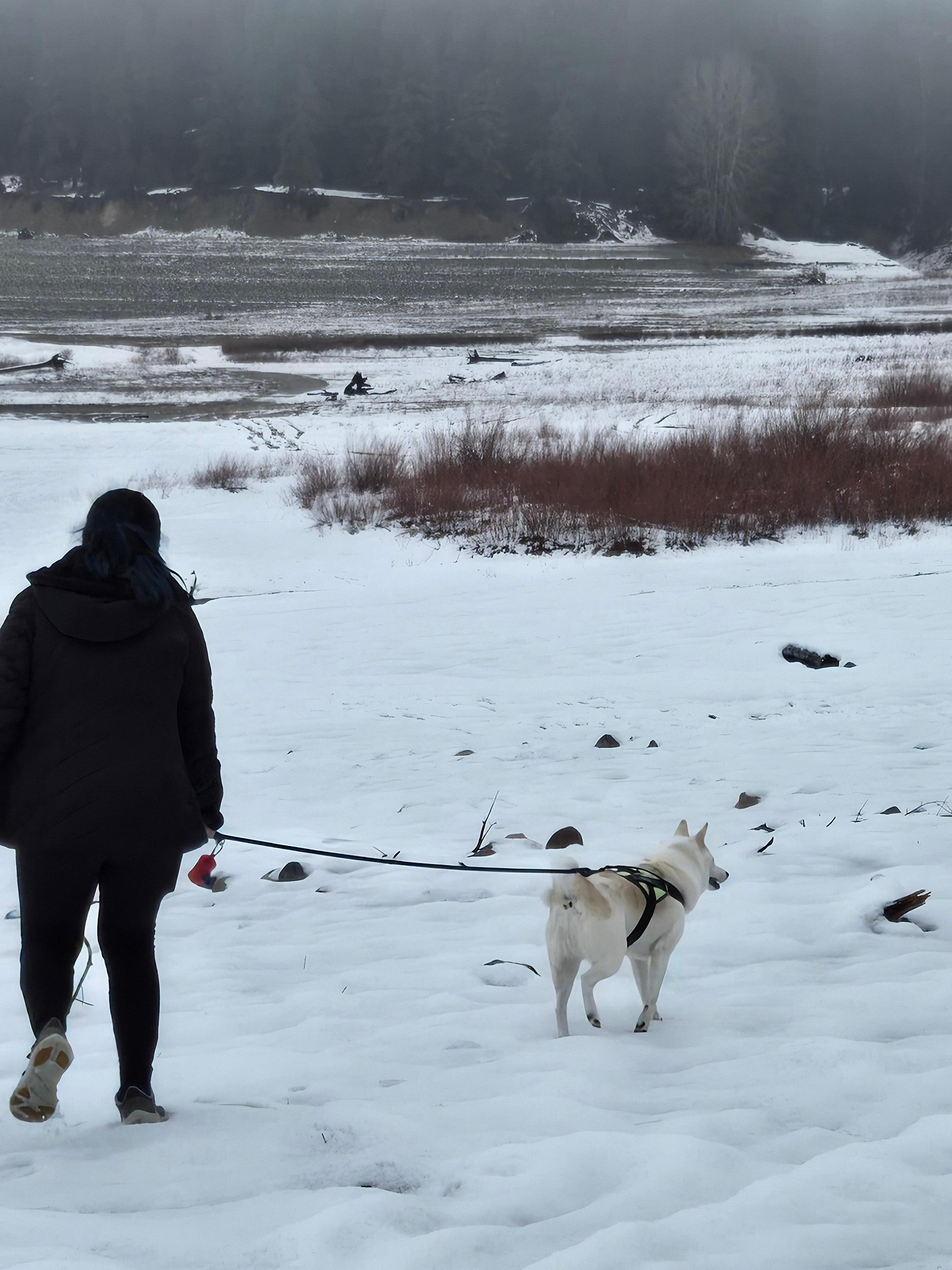 Lake visit near Roslyn