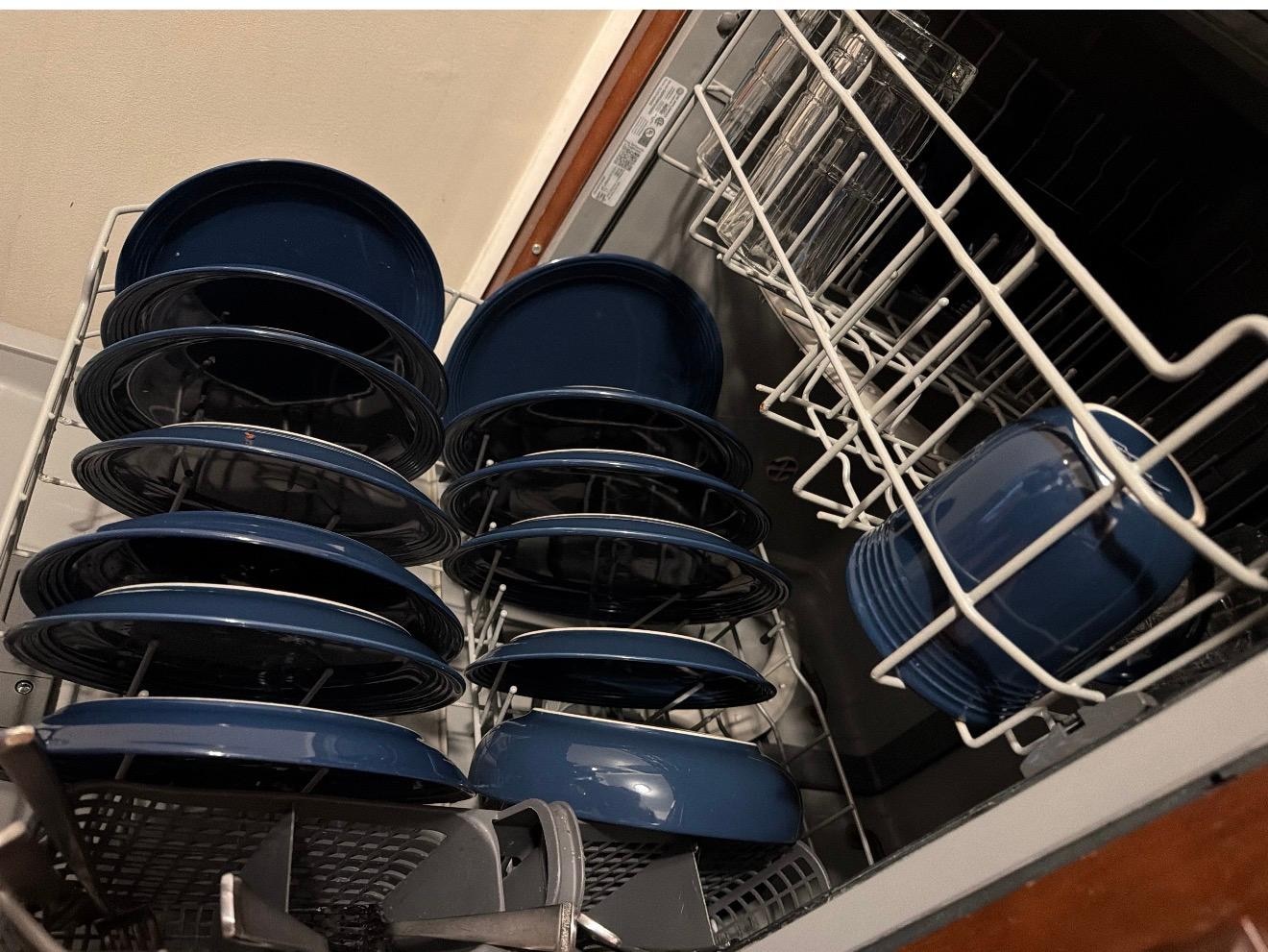 Dirty stinky dishes smelling up condo