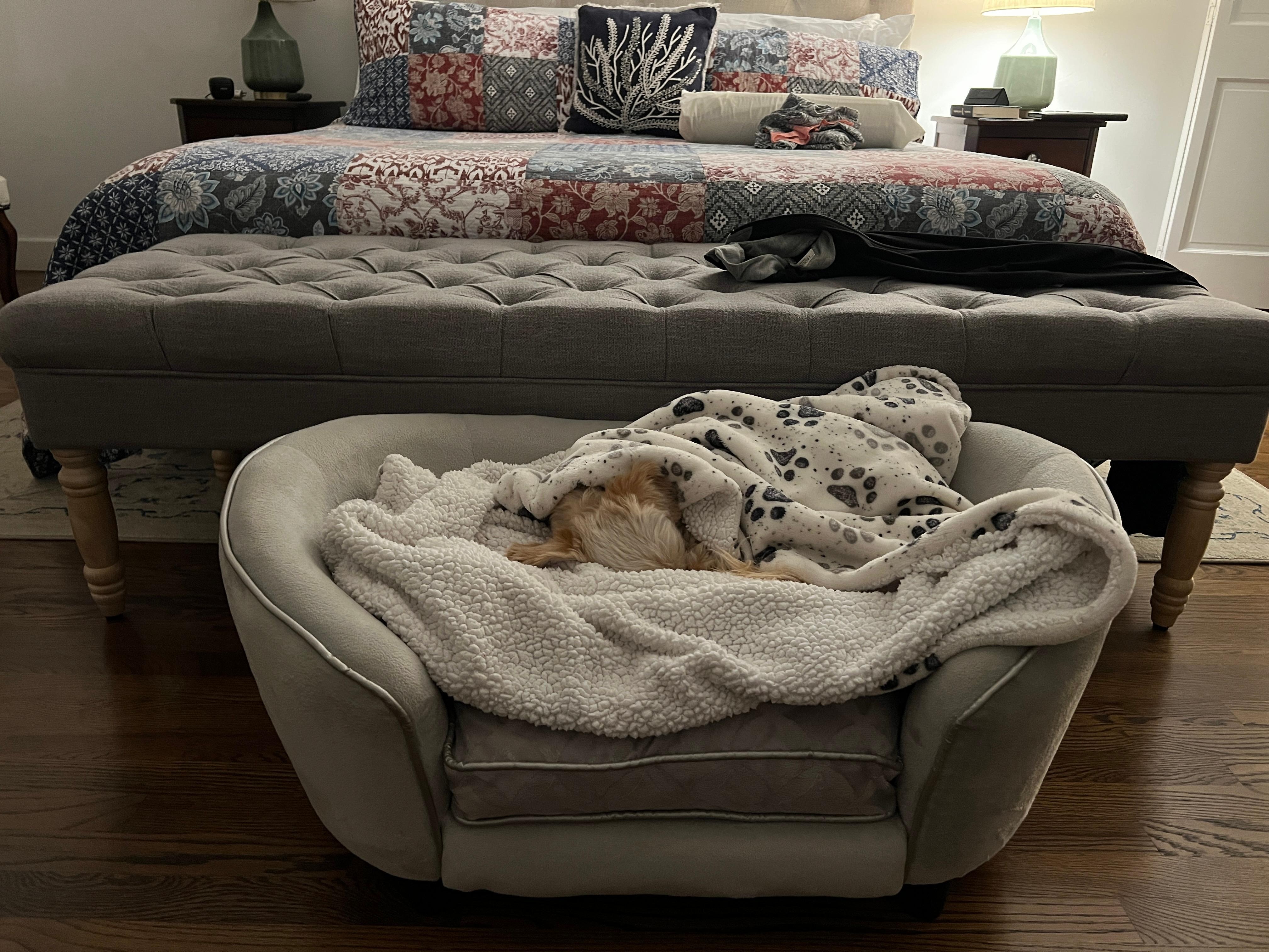 Mazie enjoyed her  queen size bed… 