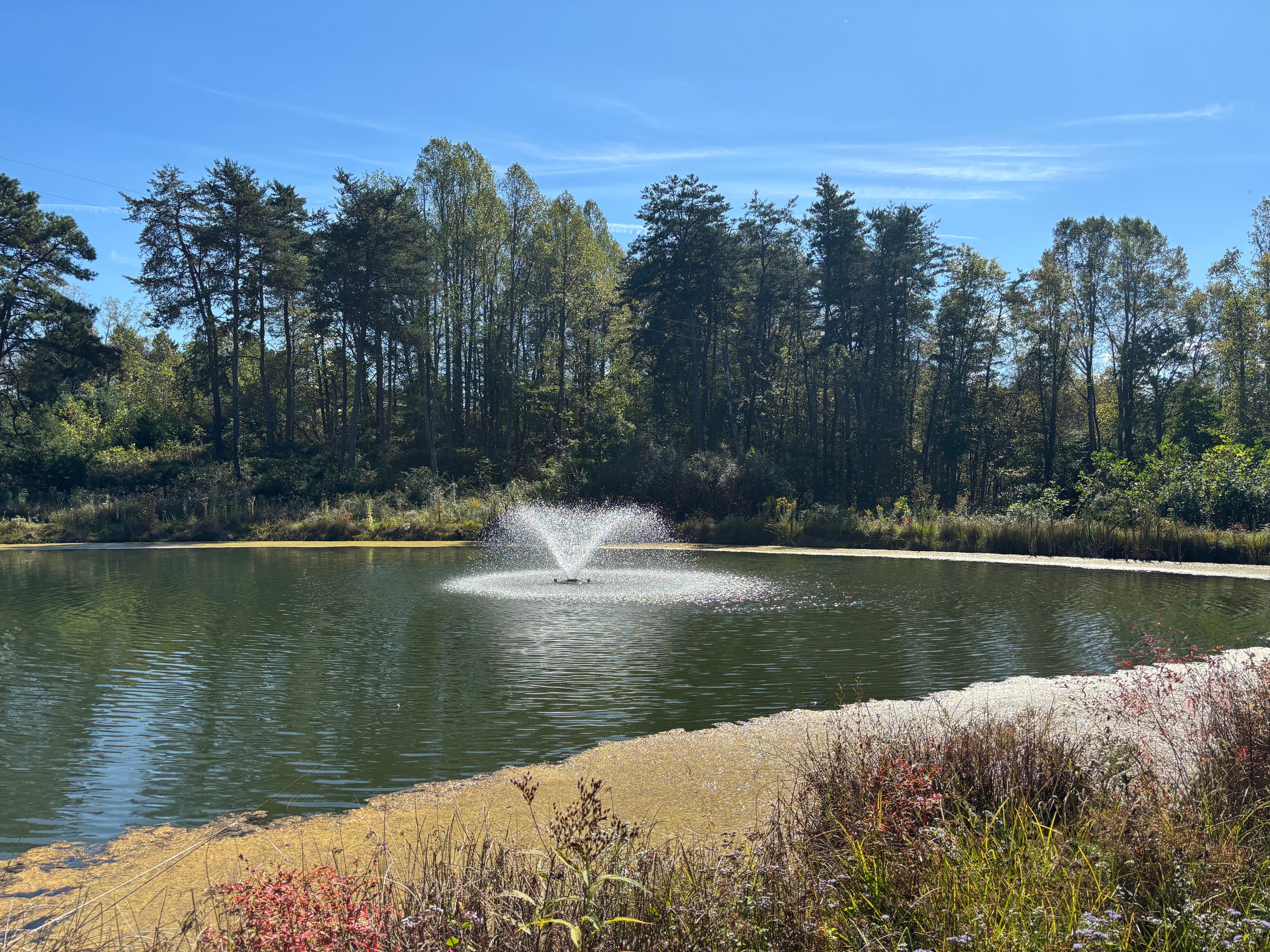 Paths leading around the on-property fishing lake.