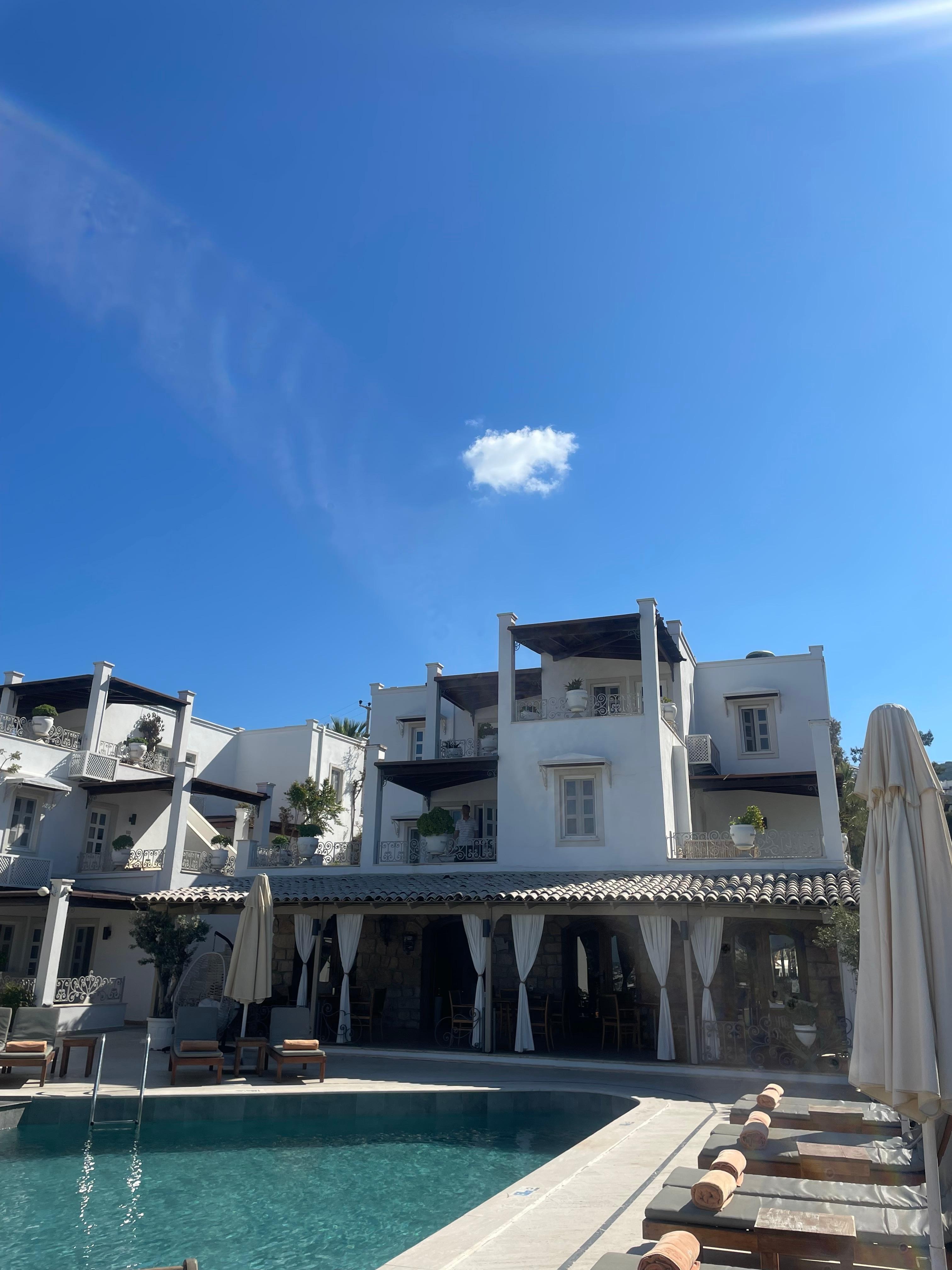 Poolside by Dante’s 