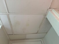 Bathroom ceiling